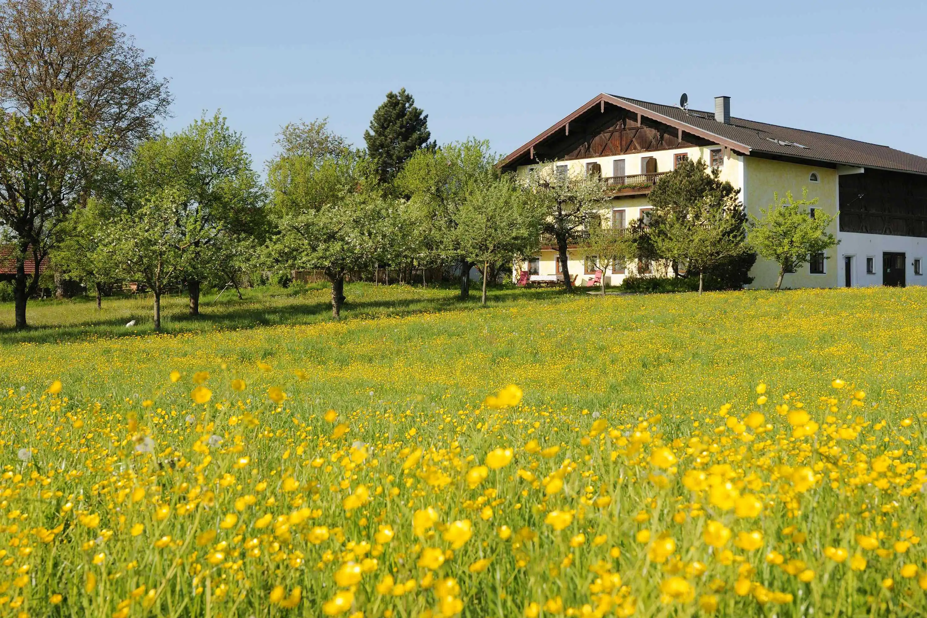 Landurlaub in Höslwang bei Familie Stöllner