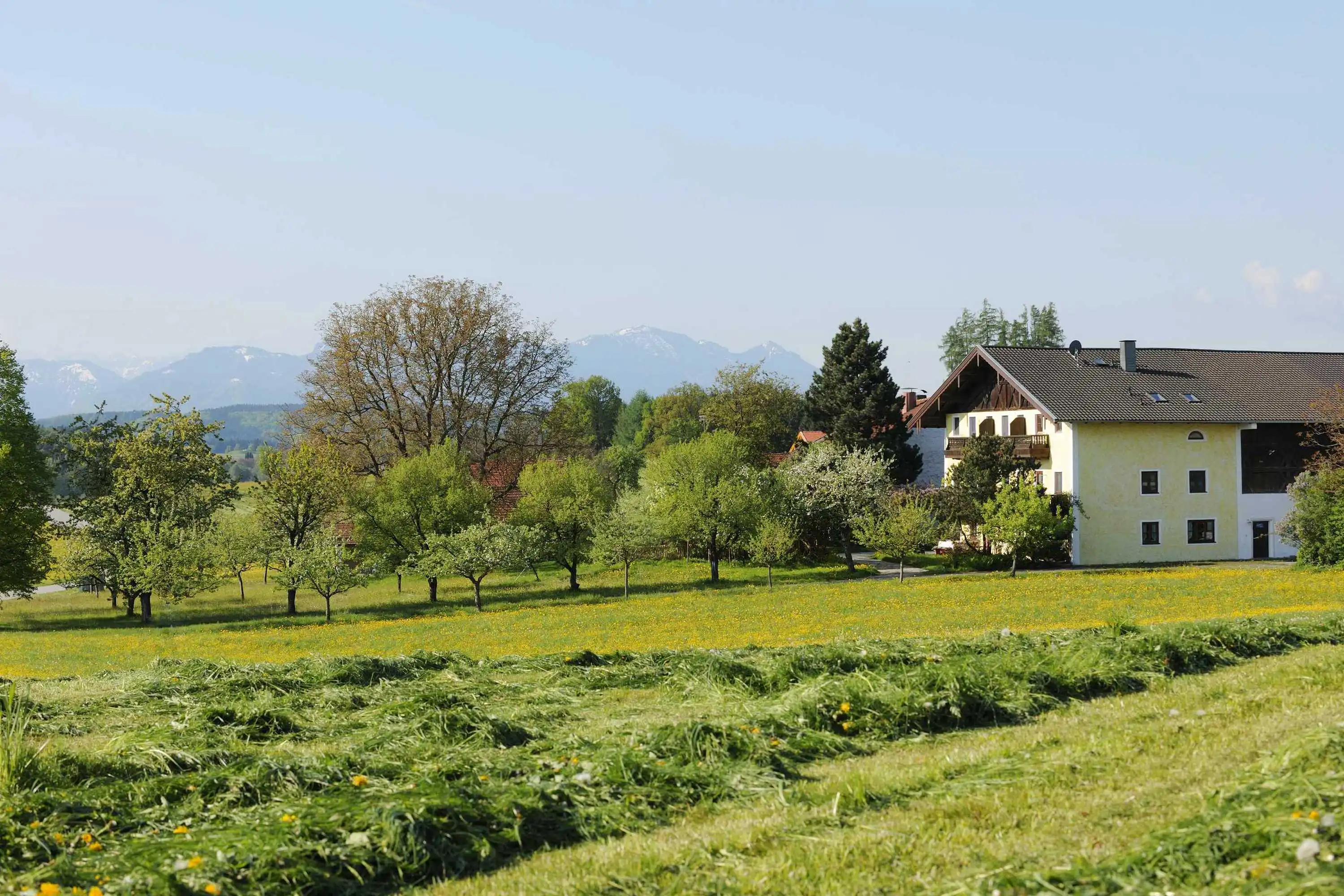 der Köllhof in Höslwang bei Bad Endorf